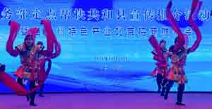 񲿶ƽھ